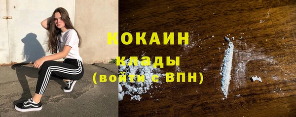 таблы Няндома