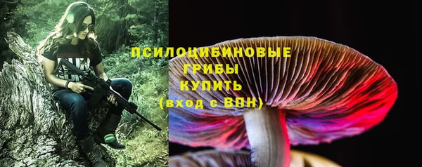 хмурый Новодвинск