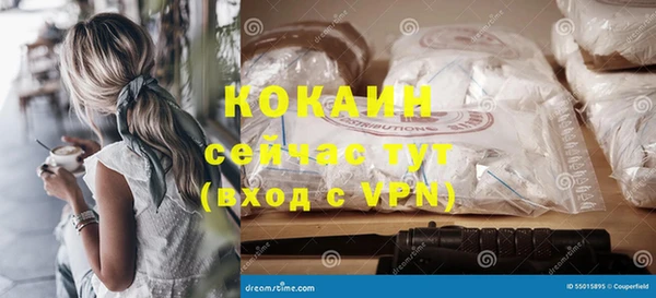 таблы Няндома