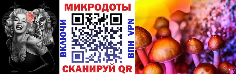 как найти   Химки  Псилоцибиновые грибы MAGIC MUSHROOMS 