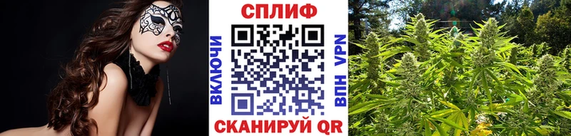 Бошки марихуана THC 21%  Химки 